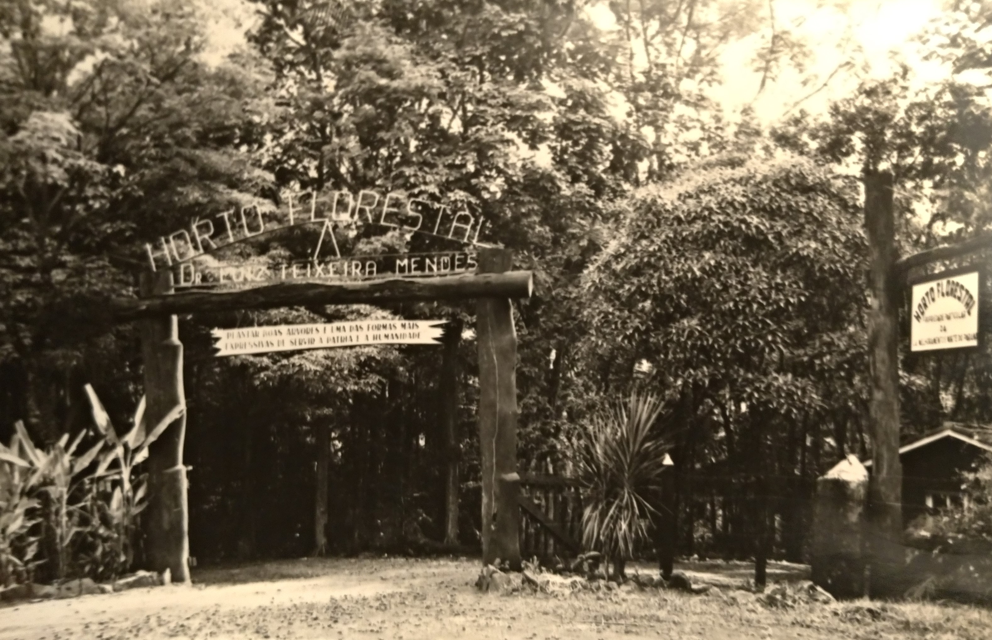 Portal de entrada do Horto Florestal - Final dos anos 1950