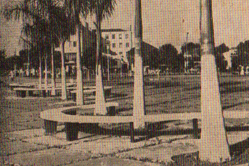 Palmeiras da praça Napoleão Moreira da Silva - 1963