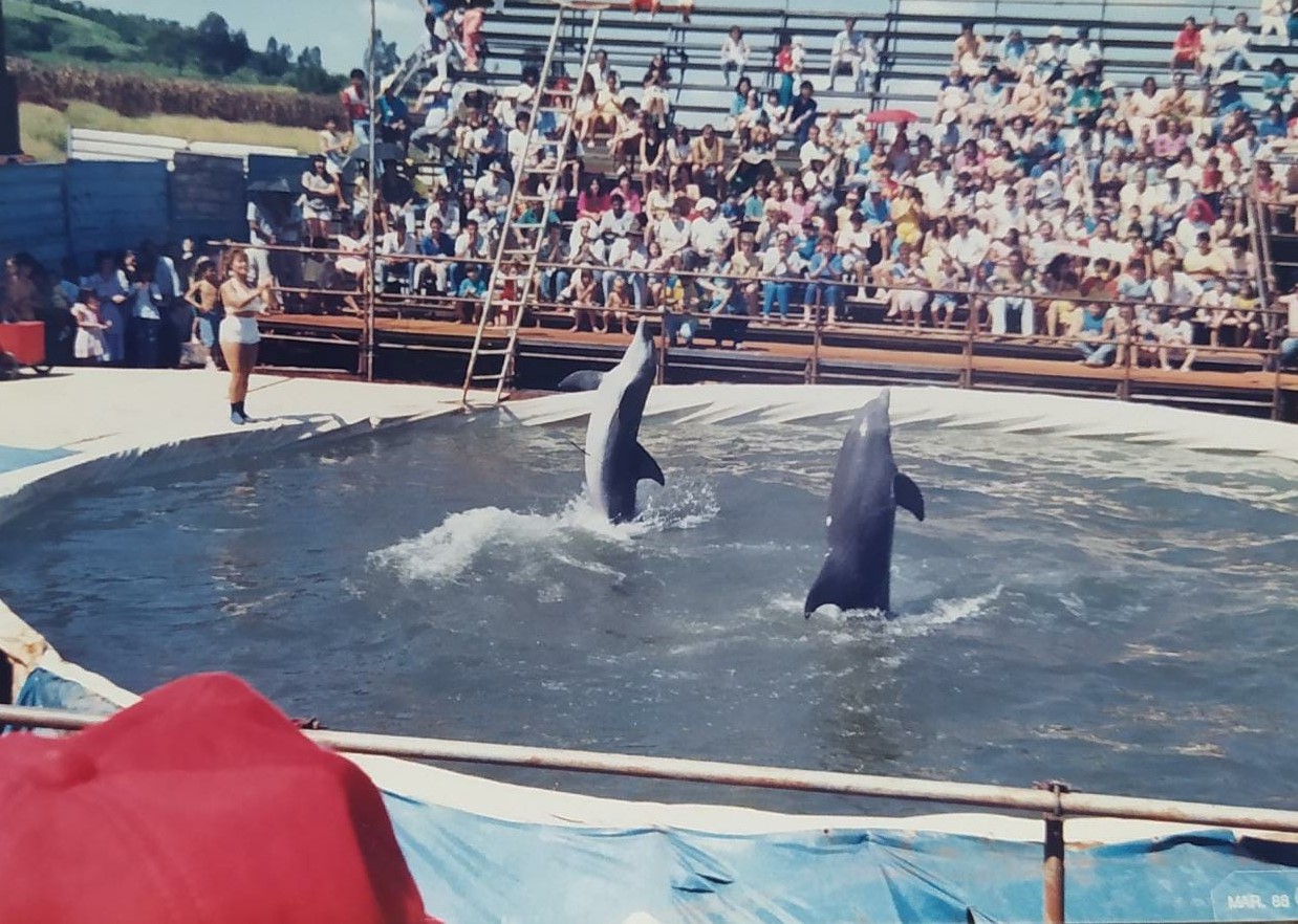 Golfinhos de Miami no Thermas - 1988