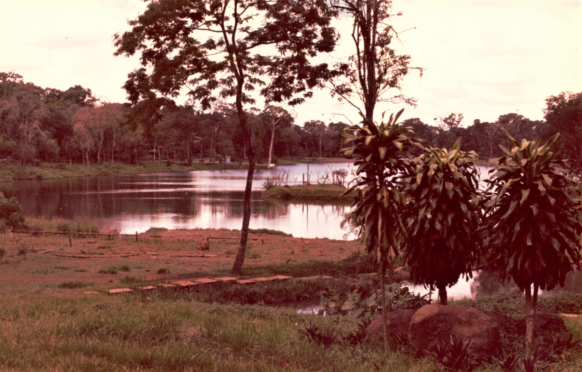 Interior do Parque do Ingá - 1980