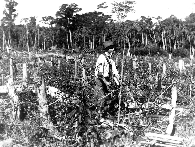 Mateiro em serviço - Década de 1940