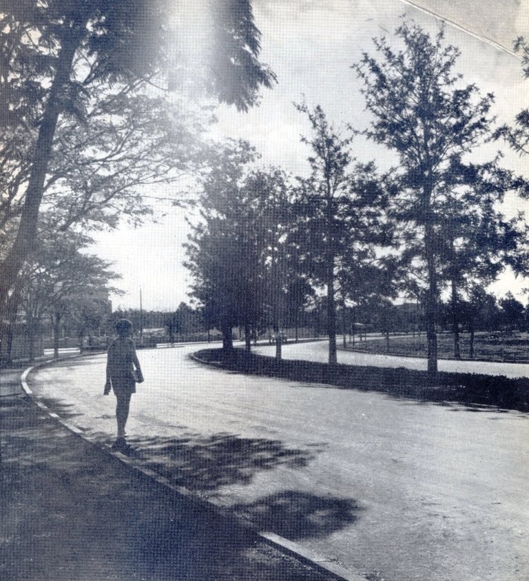 Avenida Papa João XXIII - Década de 1960