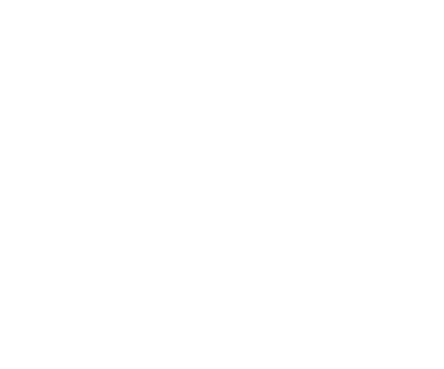 Virginia 